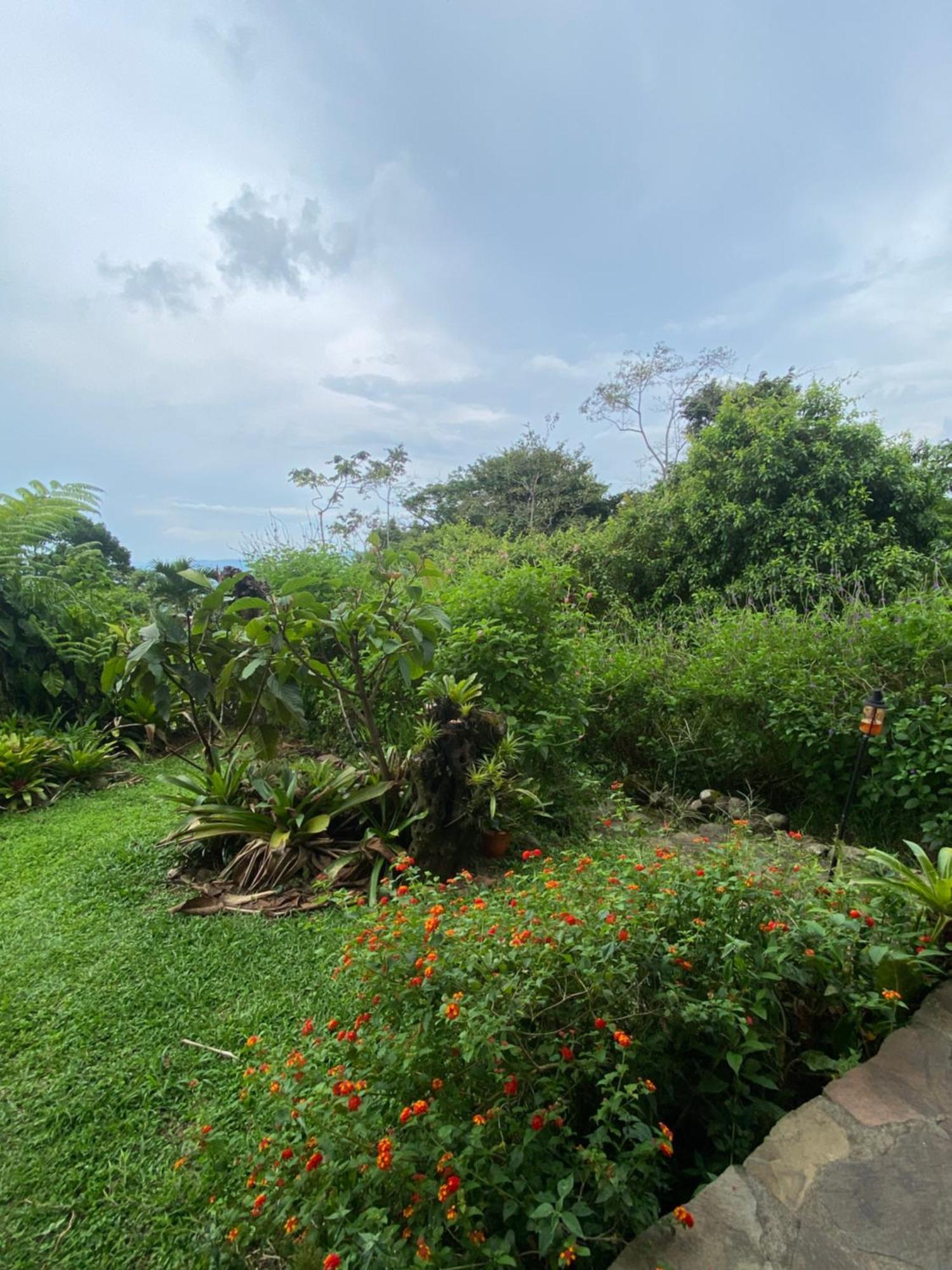 Birds & Breakfast Costa Rica Acomodação com café da manhã La Tigra  Exterior foto